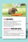 [카드 뉴스] 토끼가 동물병원에 와야하는 증상은?
