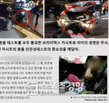 ‘무상 교환이라더니…’ 브라이텍스, 보상기준이 기가막혀!