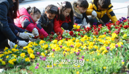 [내일 날씨]대체로 맑고 포근…강원영동·영남 낮까지 비