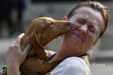 [설채현의 동행] 반려동물 분리불안, 달리 생각해야 한다