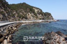계절의 여왕 5월에 떠나는 최고의 드라이브 코스는 어디?