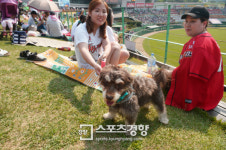 [스포츠경향 포토]‘도그데이’ 아저씨 뭐예요?