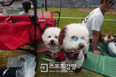 [스포츠경향 포토]‘도그데이’ 선글라스는 필수 아닌가