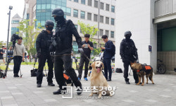 반려동물은 우리집 ‘슈퍼멍·원더우냥’