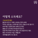 [카드뉴스] ‘월경컵, 궁금해? 답해줄게!’…생리컵 구매법부터 사용법까지