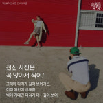 [카드뉴스] 여행메이트에게 꼭 보여줘야 할 ‘휴가철 인생샷’ 찍는 법