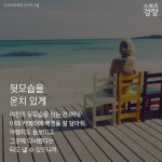 [카드뉴스] 여행메이트에게 꼭 보여줘야 할 ‘휴가철 인생샷’ 찍는 법