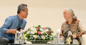‘침팬지 할머니’ 제인 구달 방한, 최재천 교수와 ‘에코 토크’···“인간이 대자연 너무 파괴했다”