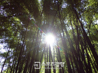 숨겨진 중국, 숨겨진 힐링…구이저우성 ‘츠수이’