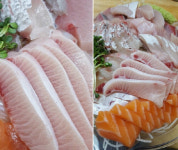 노량진수산시장 맛집  ‘푸른바다’, 대형 활어 숙성 모듬회 메뉴 선봬…전국 당일 배송
