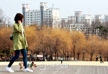 [반려동물] 봄 맞아 펫티켓 챙기고 반려견 놀이터로