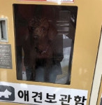 대형마트 반려견 보관함에 푸들 9시간 방치…동물학대 논란