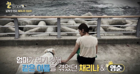 ‘잘살아보시개’ 채리나 반려견 ‘영순이’의 상상 임신 소동 공개