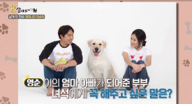 ‘잘살아보시개’ 채리나 반려견 ‘영순이’의 상상 임신 소동 공개