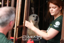 [스경포토] 두려움에 떠는 개농장 식용견