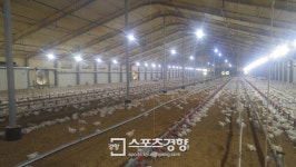 안심먹거리 ‘동물복지 인증’ 뜬다