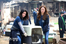 케어 홍보대사 김효진, 박소연 대표 안락사 논란에 “상상도 못해…하루 종일 눈물만 난다”