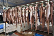 ‘청정 고성’의 맛을 파는 천년고성시장 [엄민용의 ‘살아 있구나, 강원 전통시장]