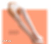 “여성 신체 모방 성기구 수입 정부가 금지할 수 없어”