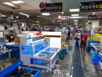 ‘먹방’ 성지로 우뚝 선 속초관광수산시장 [엄민용의 ‘살아 있구나, 강원 전통시장’]