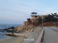 강릉 관광명소 돌고 마지막 발길이 머무는 곳 ‘주문진건어물시장’
