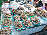 삼척중앙시장, ‘영동 최고 장터’ 부활 꿈꾼다 [엄민용의 ‘살아 있구나, 강원 전통시장]