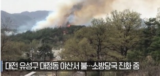 대전 유성구 대정동 야산서 산불…“헬기 3대 투입 진화중”