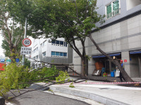 제13호 태풍 ‘링링’ 대비, 서울 지하철 지상구간 서행