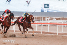KRA컵 클래식, 다시 맞붙는 ‘코리아컵’ 한국 경마 3강