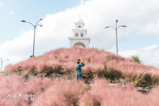 제주허브동산, 핑크뮬리 속에서 핼러윈 파티 어때?