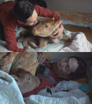 “살려주소!”…‘세상에 이런 일이’ 81세 할아버지의 지극정성 송아지 육아일기