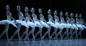 국립예술단체 단원 ‘외부활동’ 전수조사