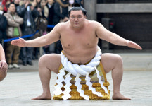일본 스모 요코즈나도 코로나 감염