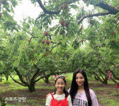 ‘랜선장터’ 김천 자두퀸 자리 두고 오마걸 효정·신미래·오유진 경합