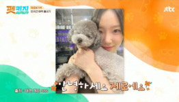 태연 “반려견 제로 SNS, 팔로워 수십만 명”