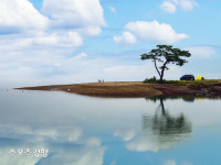 황홀보다 황혼이라 더 정겨운 경기도 안산 ‘대부해솔길 낙조’