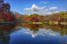 “긴급구조 S.O.S”…가을行, 단풍에 취해 길을 잃다 [투어테인먼트]