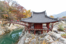 “돗자리 깔고 발 담그면…뼛속까지 시린 피서 명당”[투어테인먼트]