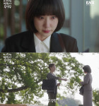 ‘우영우’ 팽나무 승소사건, 실제론 어렵다[아는변호사]