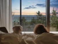 호텔 수영장서 ‘멍푸치노’ 한 잔? 펫캉스 명소 5곳