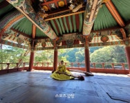‘고요’에 잠긴 함양, ‘힐링’에 갇힌 여심(旅心)[투어테인먼트]