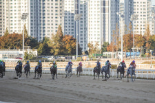 첫 호흡 맞춘 女기수 김아현과 ‘제12회 스포츠경향배’ 우승한 ‘소베라니아’