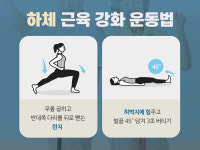욜드족 필수조건은 근육이다[헬스토피아]