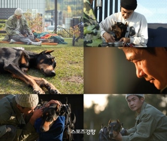 배정남, 전신마비 반려견 벨과 꿈꾸는 소원(동물농장)