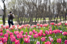 빗장 연 순천만, 빛 창현 국가정원…‘엄지척’ 박람회&‘인기짱’ 순천여행[투어테인먼트]
