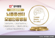 에이치플러스 양지병원…뇌졸중 치료부문, 국내 대표병원 우뚝