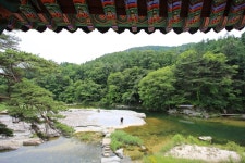 하늘 그린 눈부신 여름, 땅에 거한 탄성의 합창…계곡 여행지5