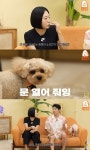 강남 “강아지들 문제 없어, ♥이상화가 분리불안”