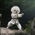 ‘오늘(3일) 생일’ 강민경, 여전한 반려견 사랑