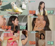 박기량&몽이 하우스 대변신, 말잇못! (펫대로하우스)